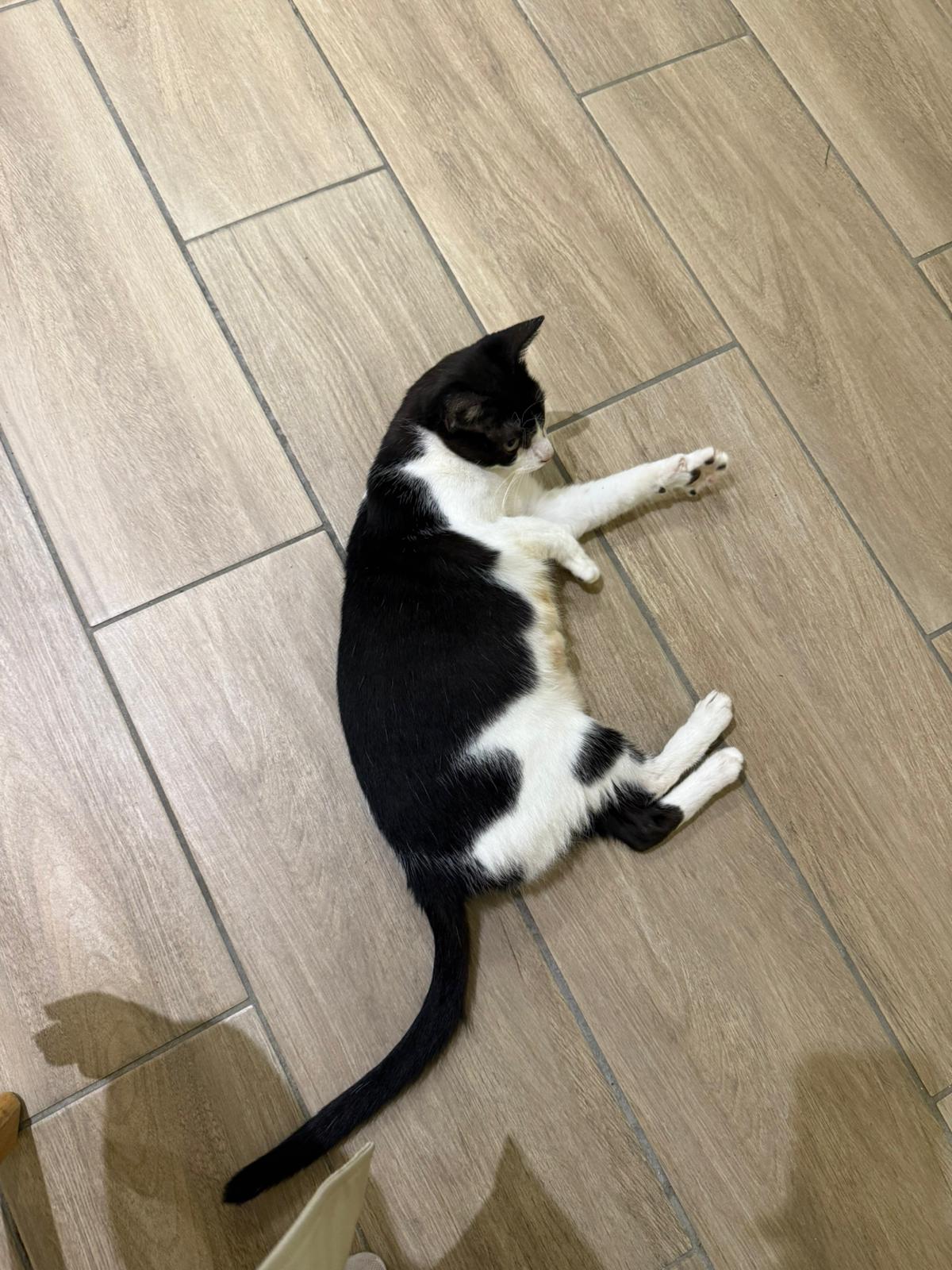 WhatsApp Image 2025-12-02 at 12.48.14 (2)