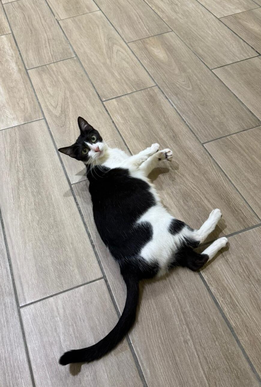 WhatsApp Image 2025-12-02 at 12.48.14 (3)