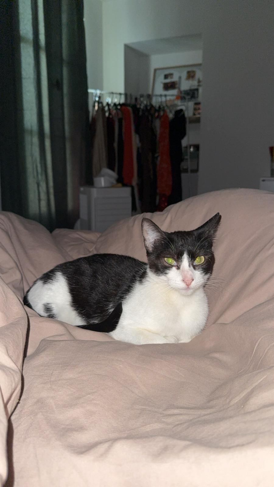 WhatsApp Image 2025-12-02 at 12.48.14