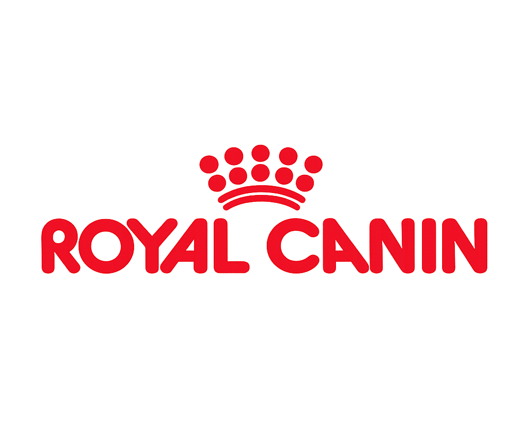 ChatGPT Image 30 janv. 2026 à 14_08_22