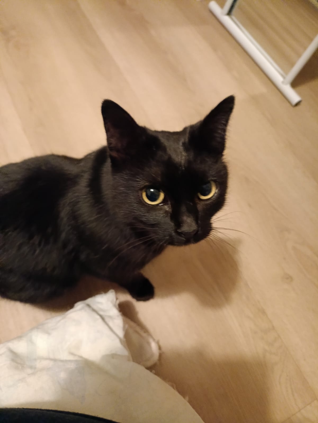 WhatsApp Image 2026-01-04 at 18.16.09 (1)