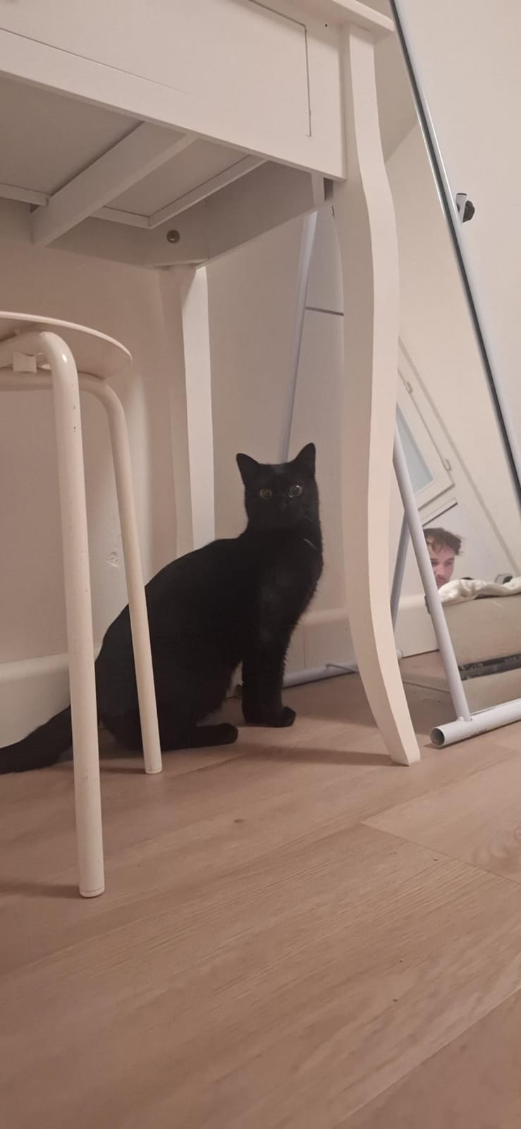 WhatsApp Image 2026-01-04 at 18.16.09 (2)