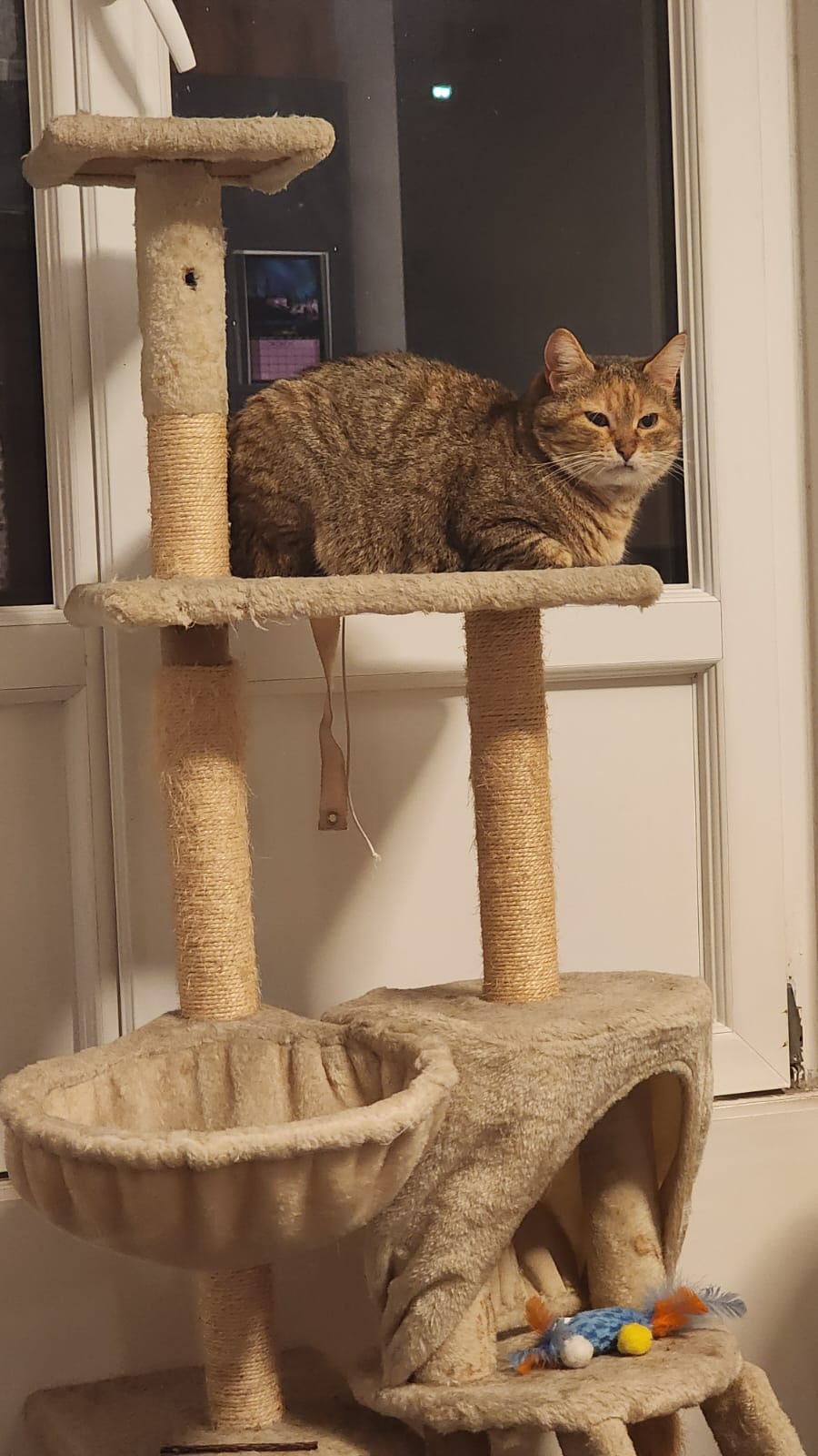 WhatsApp Image 2026-01-05 at 22.16.34 (1)