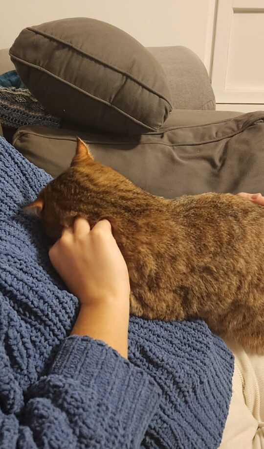 WhatsApp Image 2026-01-05 at 22.16.34