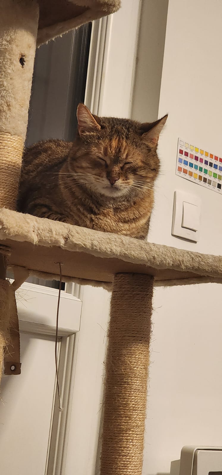 WhatsApp Image 2026-01-05 at 22.16.35