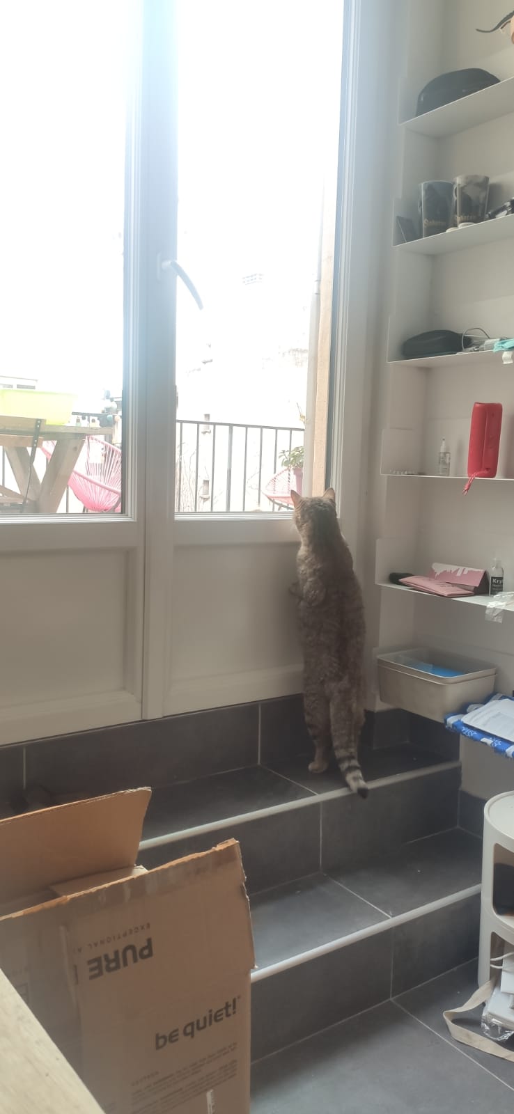 WhatsApp Image 2026-01-05 at 22.16.46 (1)