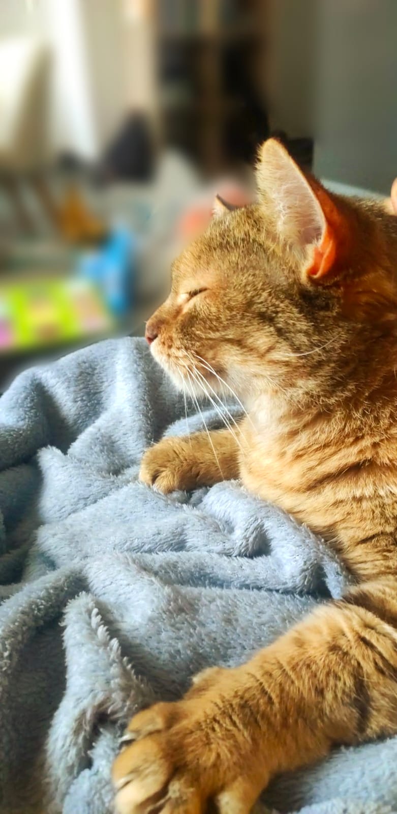 WhatsApp Image 2026-01-05 at 22.16.46 (2)