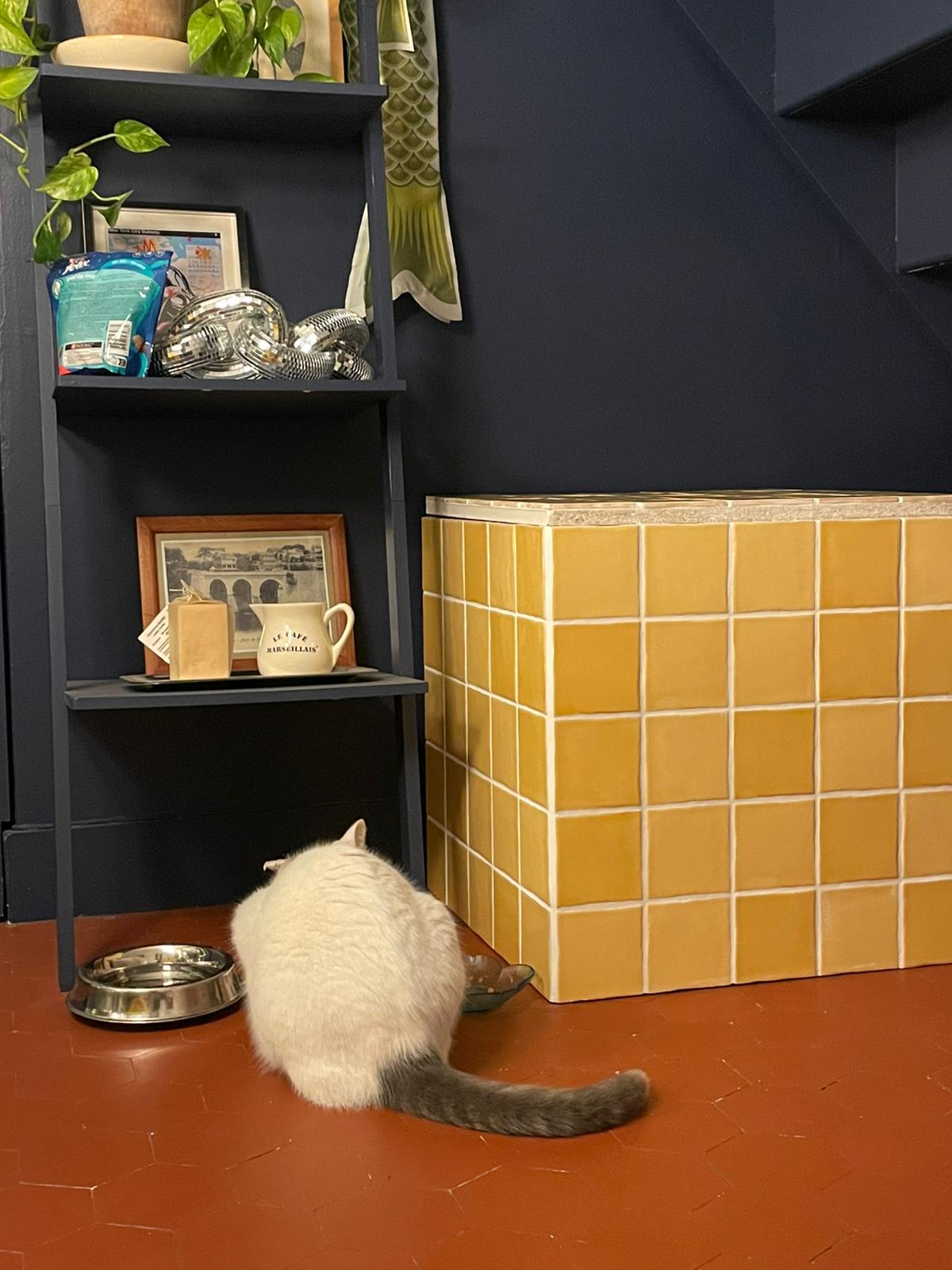 WhatsApp Image 2026-01-08 at 15.37.30