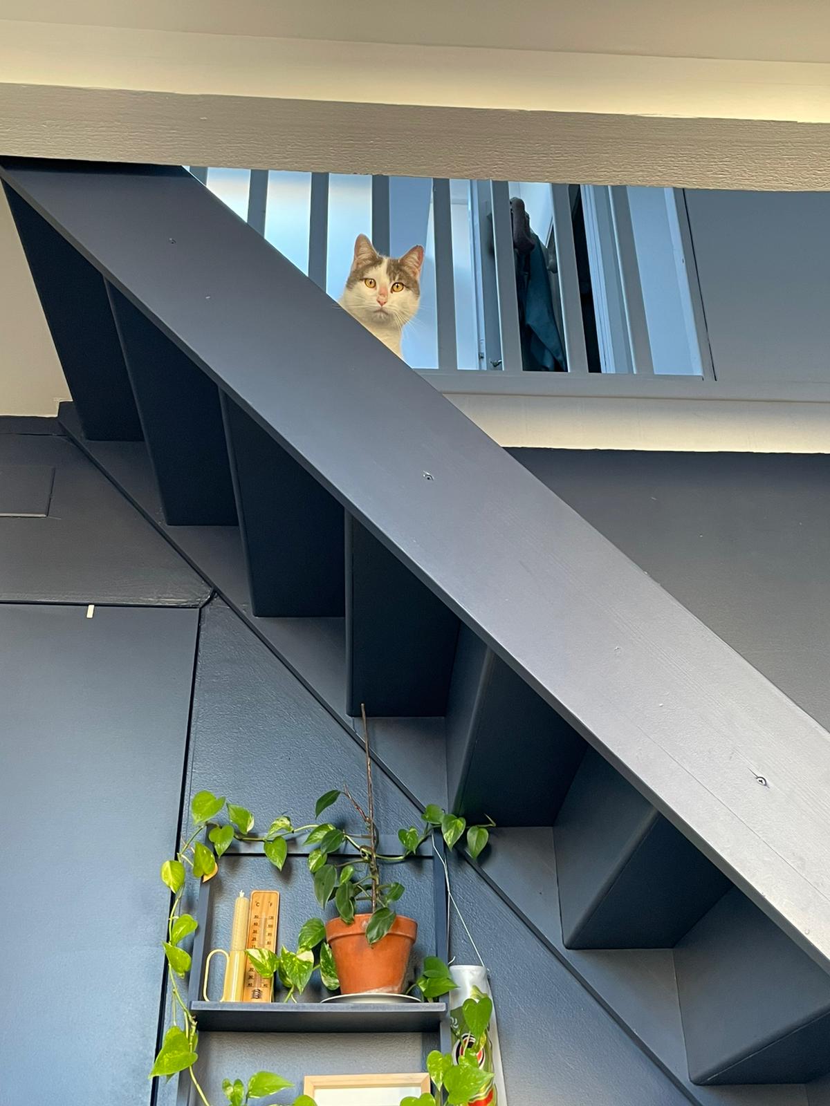 WhatsApp Image 2026-01-08 at 15.38.19