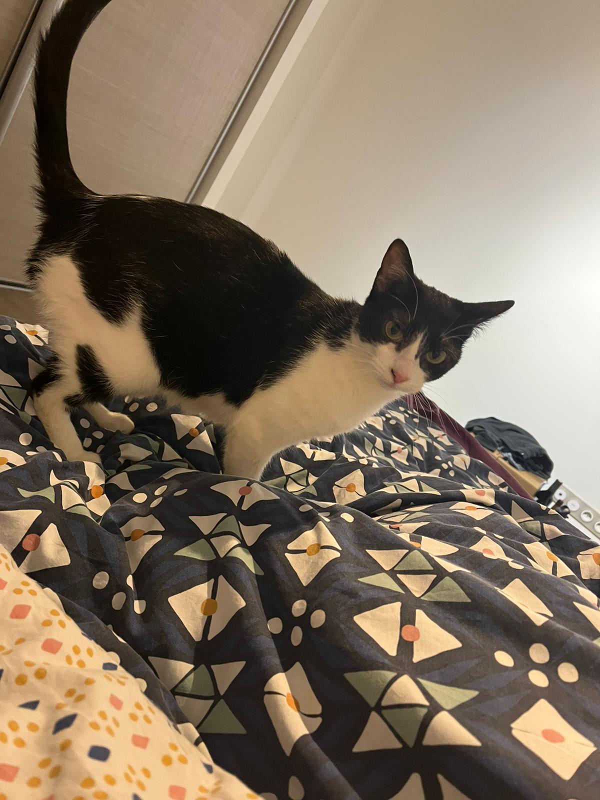 WhatsApp Image 2026-01-10 at 13.27.13 (1)