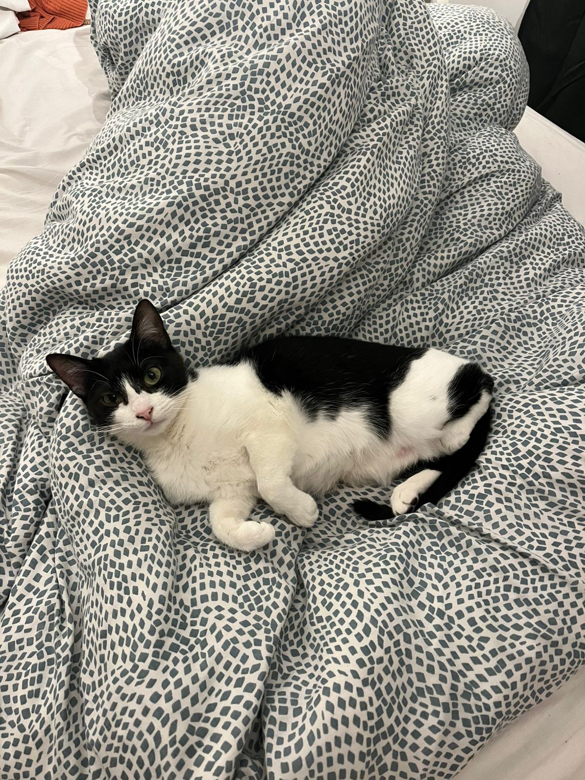 WhatsApp Image 2026-01-11 at 17.22.34