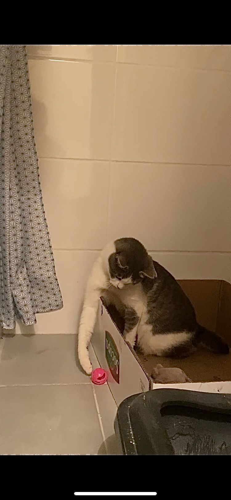 WhatsApp Image 2026-01-18 at 19.10.43 (1)