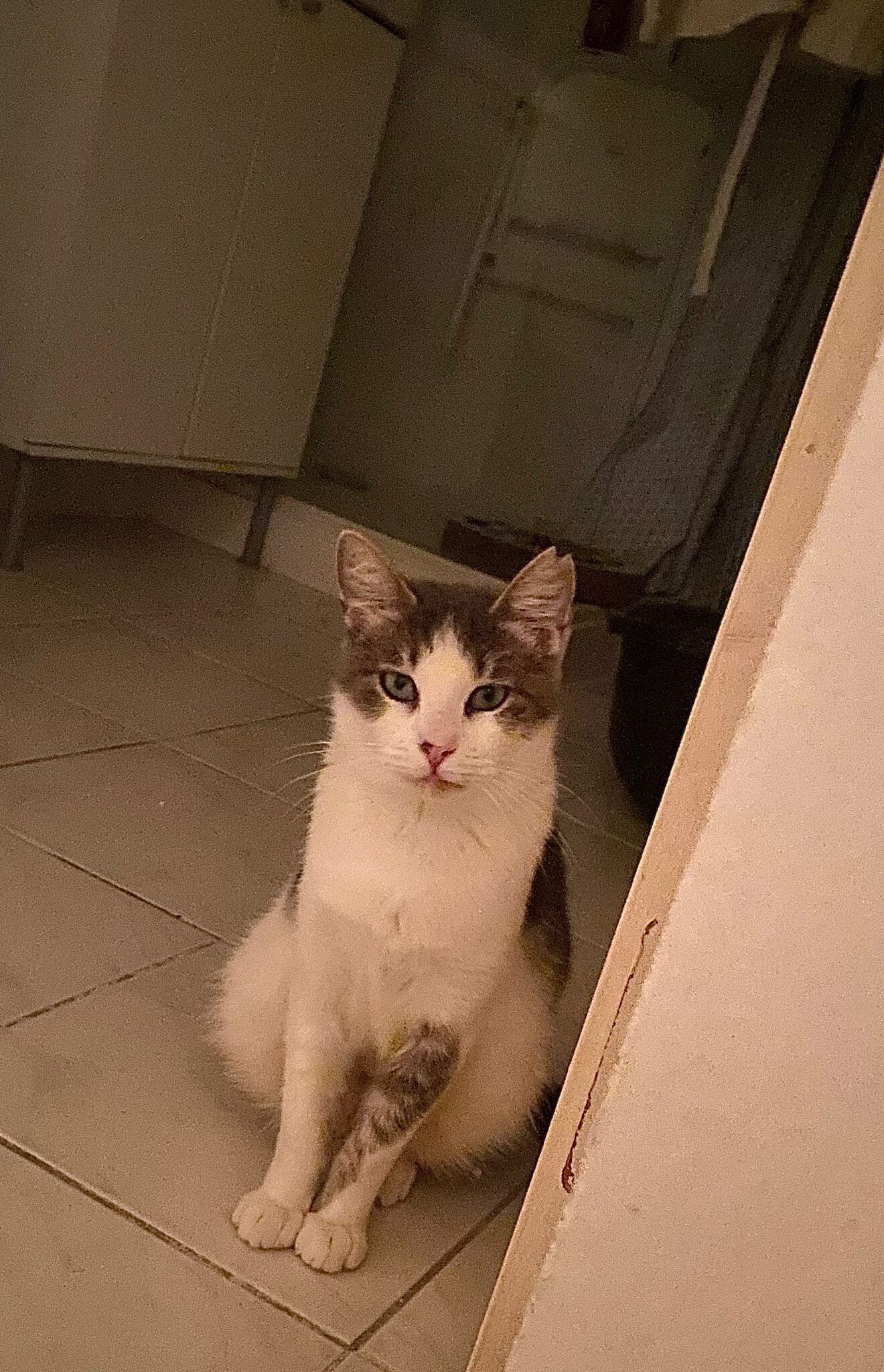 WhatsApp Image 2026-01-18 at 19.10.43