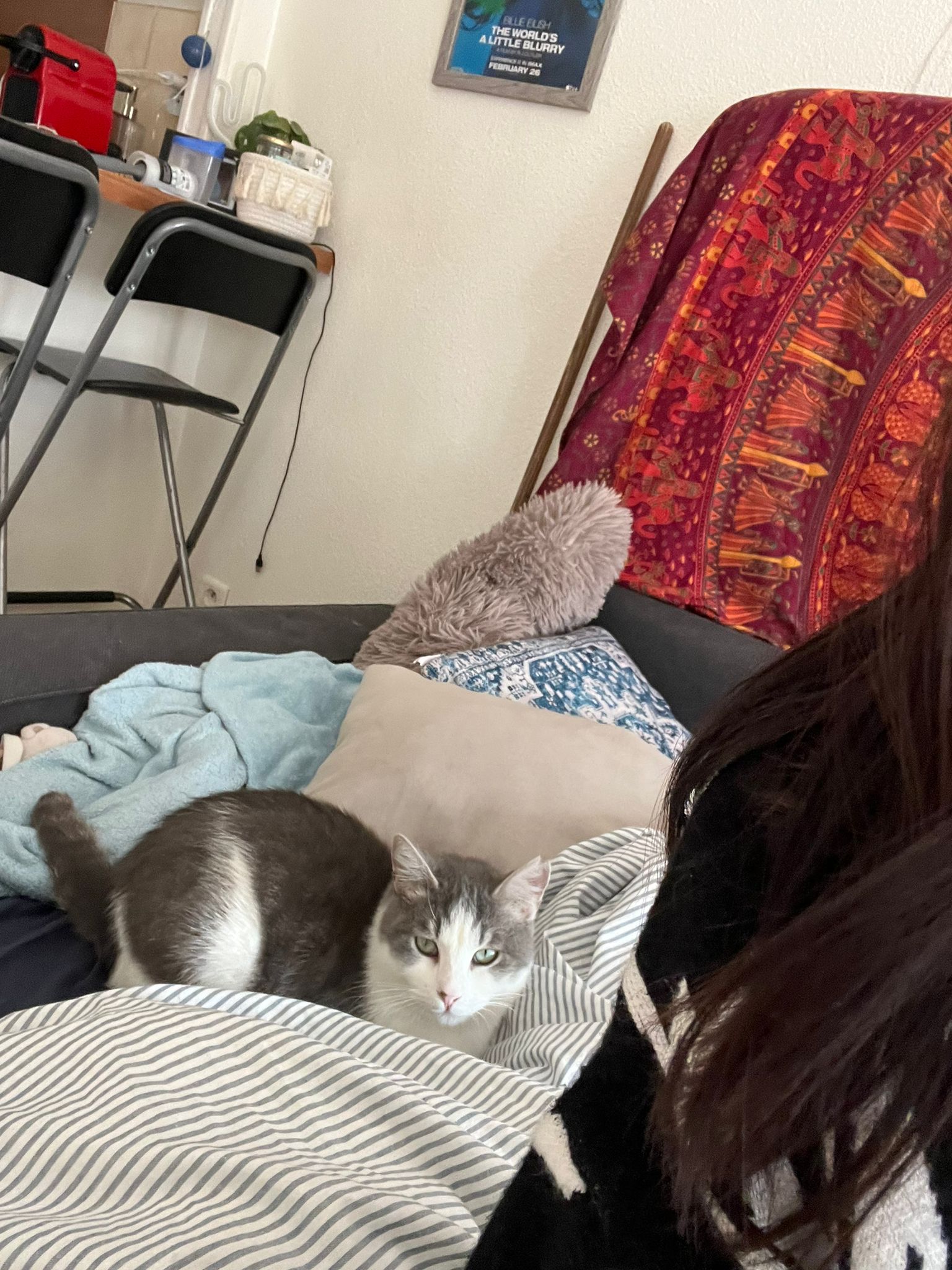 WhatsApp Image 2026-01-18 at 19.10.44