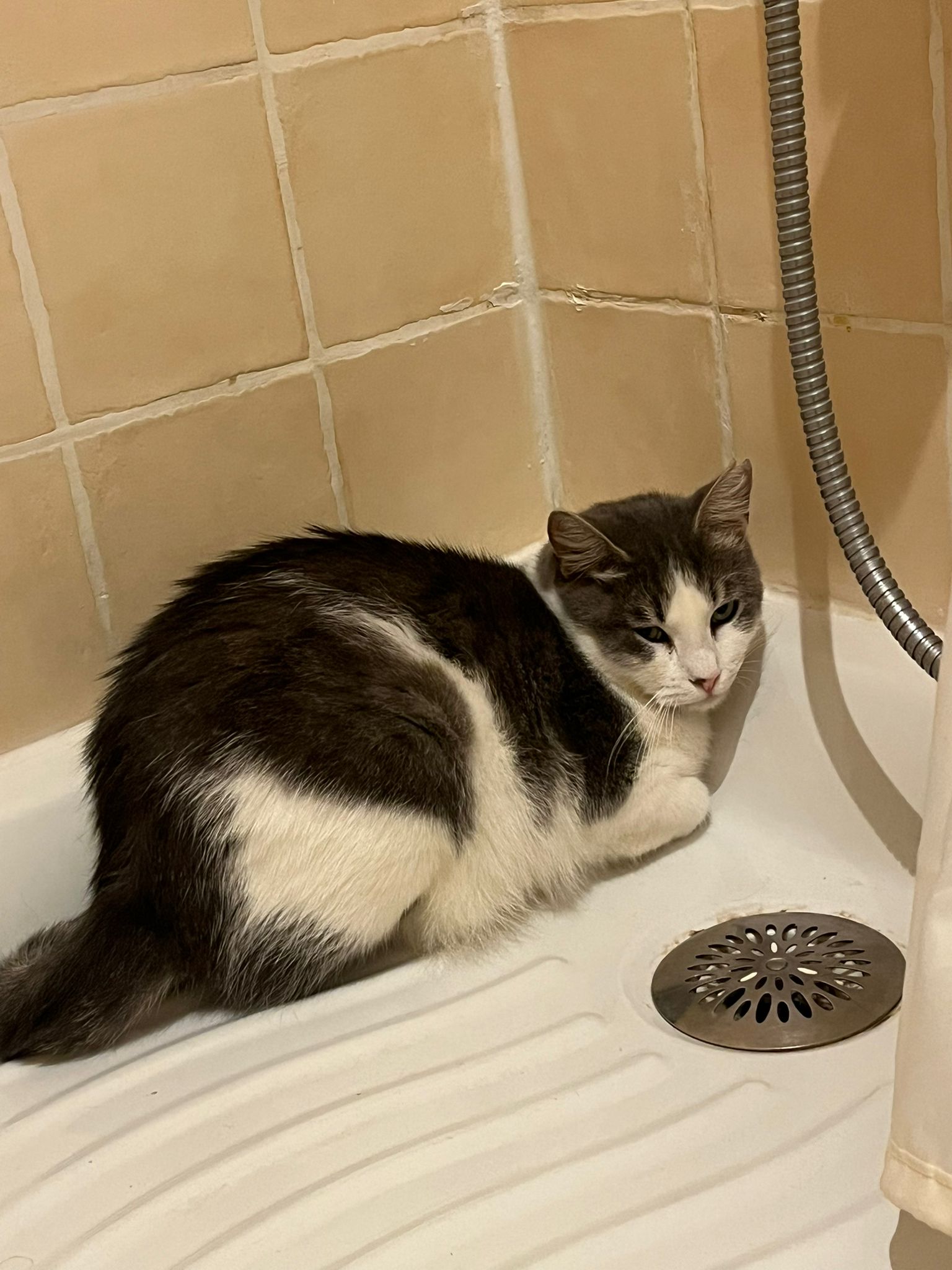 WhatsApp Image 2026-01-18 at 20.04.51 (2)