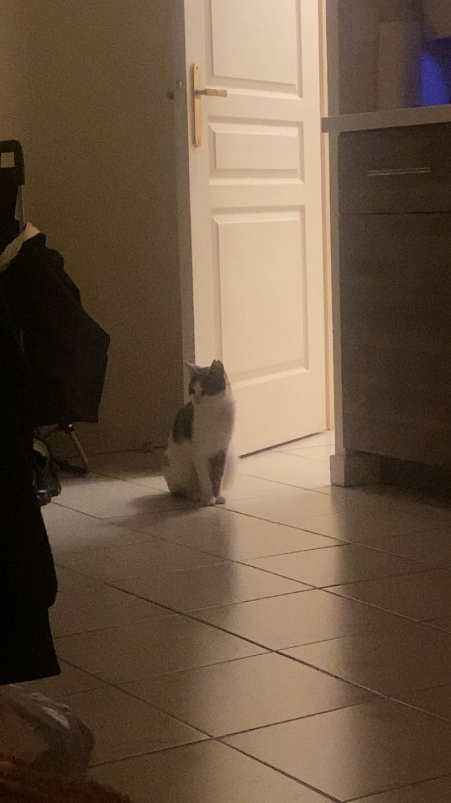 WhatsApp Image 2026-01-18 at 20.04.51 (3)