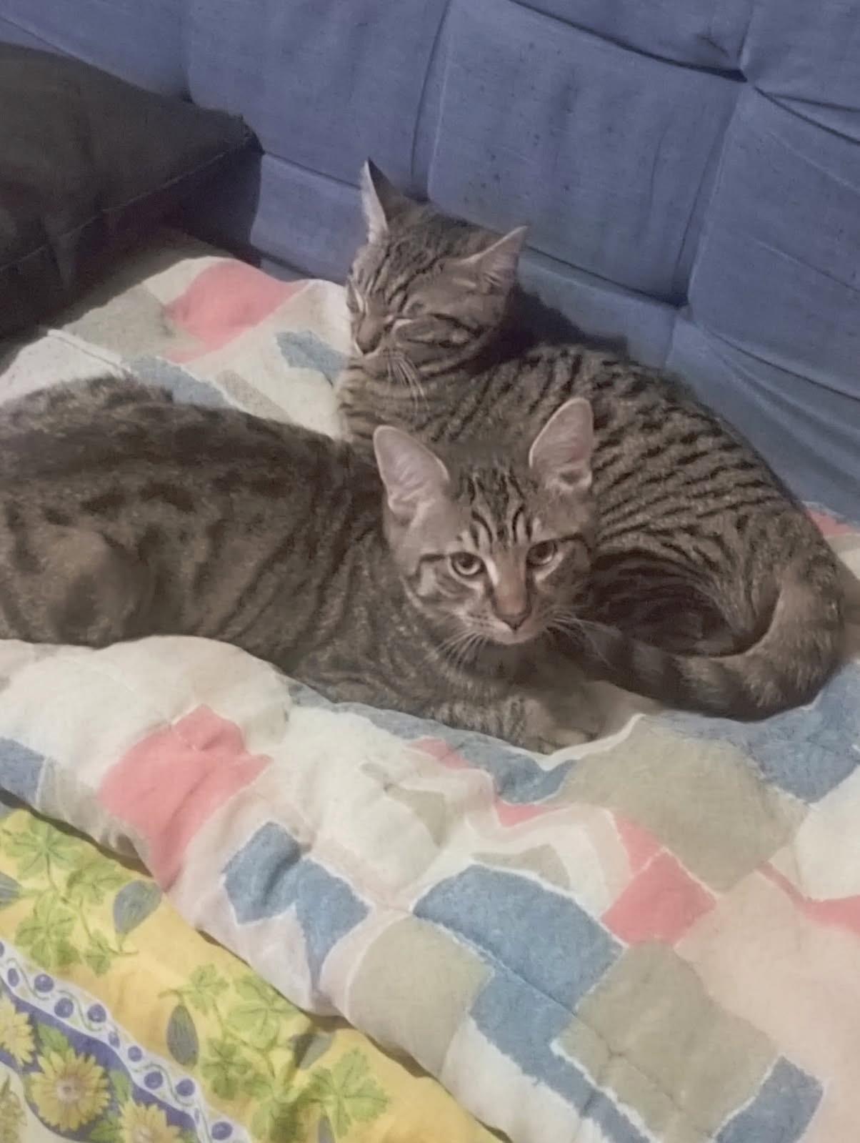 WhatsApp Image 2026-01-19 at 15.57.58