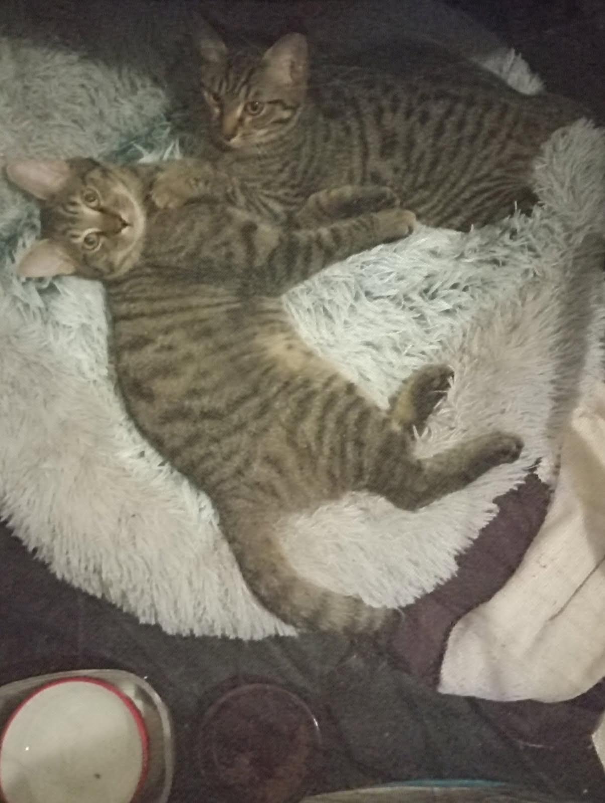 WhatsApp Image 2026-01-19 at 15.58.02