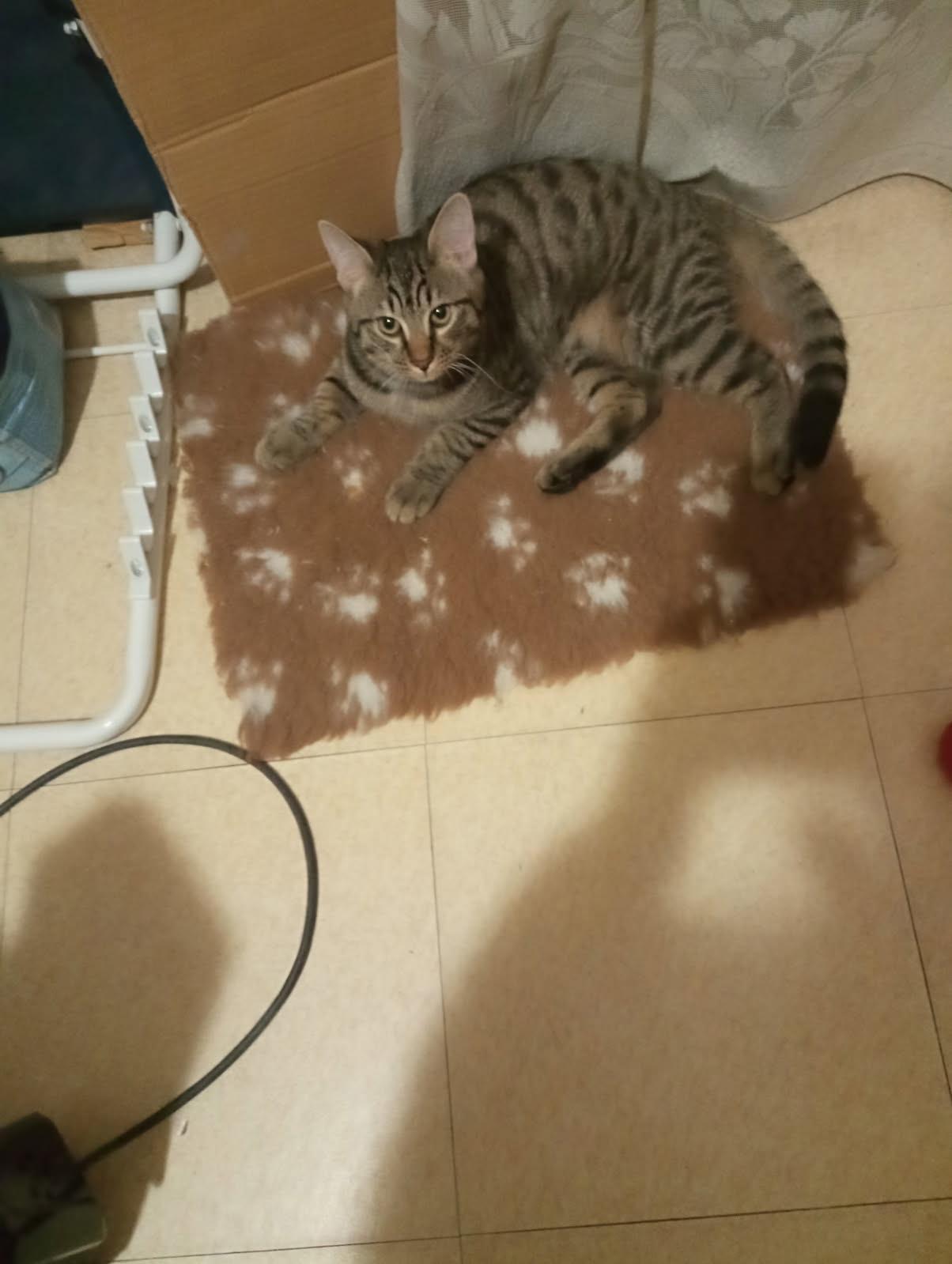 WhatsApp Image 2026-01-19 at 15.58.07