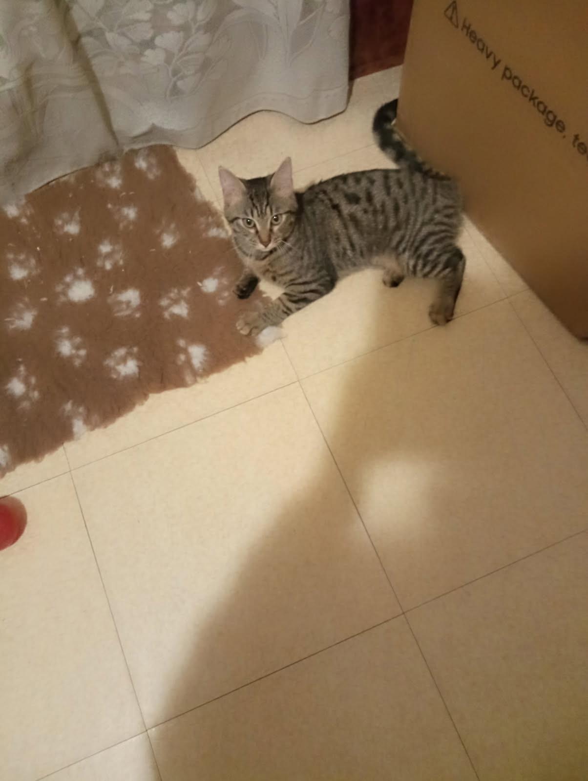 WhatsApp Image 2026-01-19 at 15.58.13