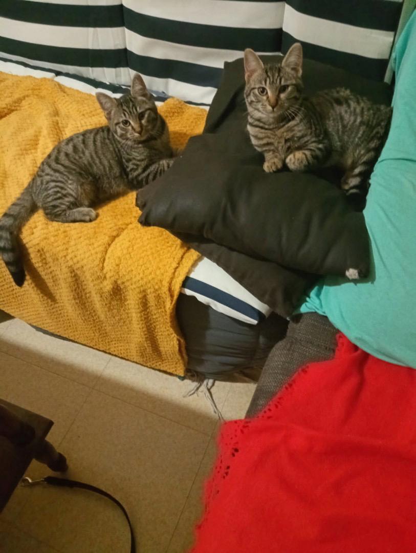 WhatsApp Image 2026-01-19 at 16.16.40