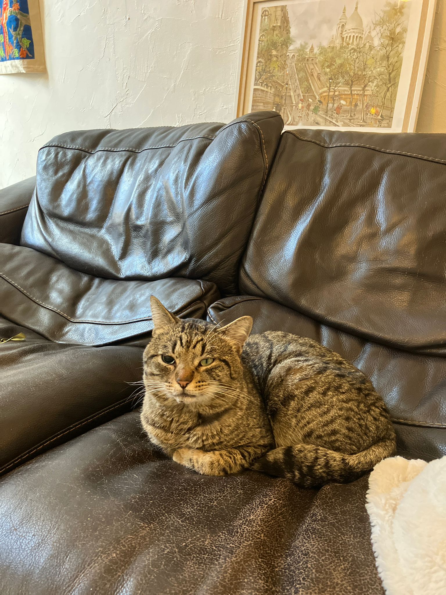 WhatsApp Image 2026-01-19 at 19.31.20 (2)