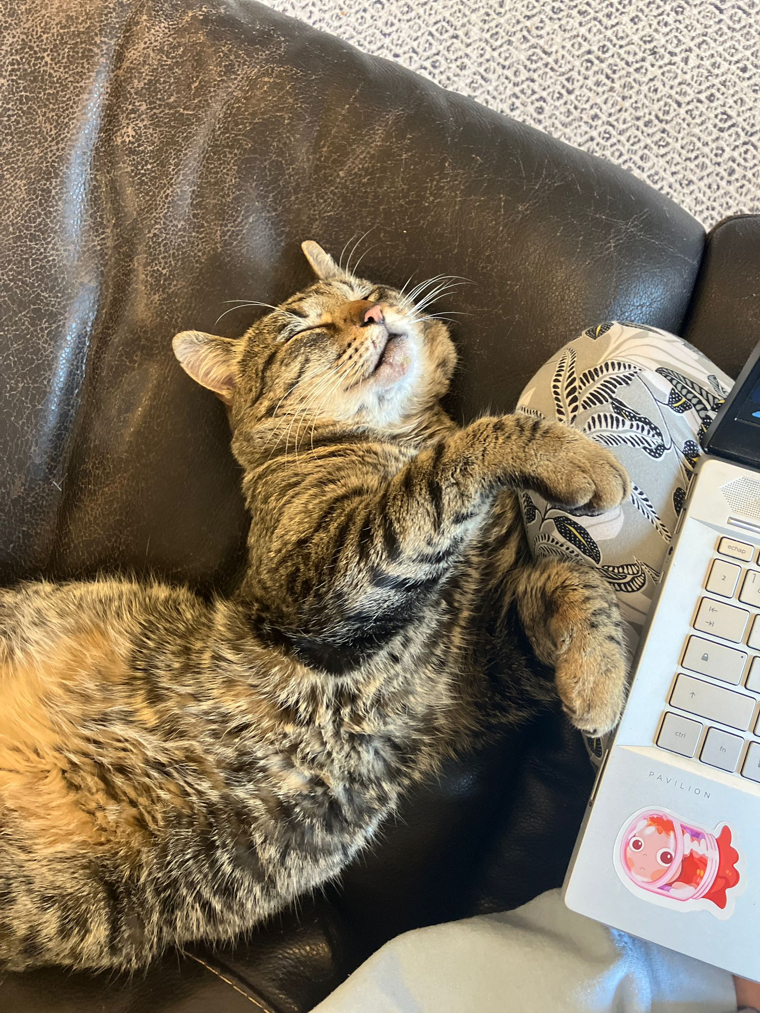 WhatsApp Image 2026-01-19 at 19.31.20