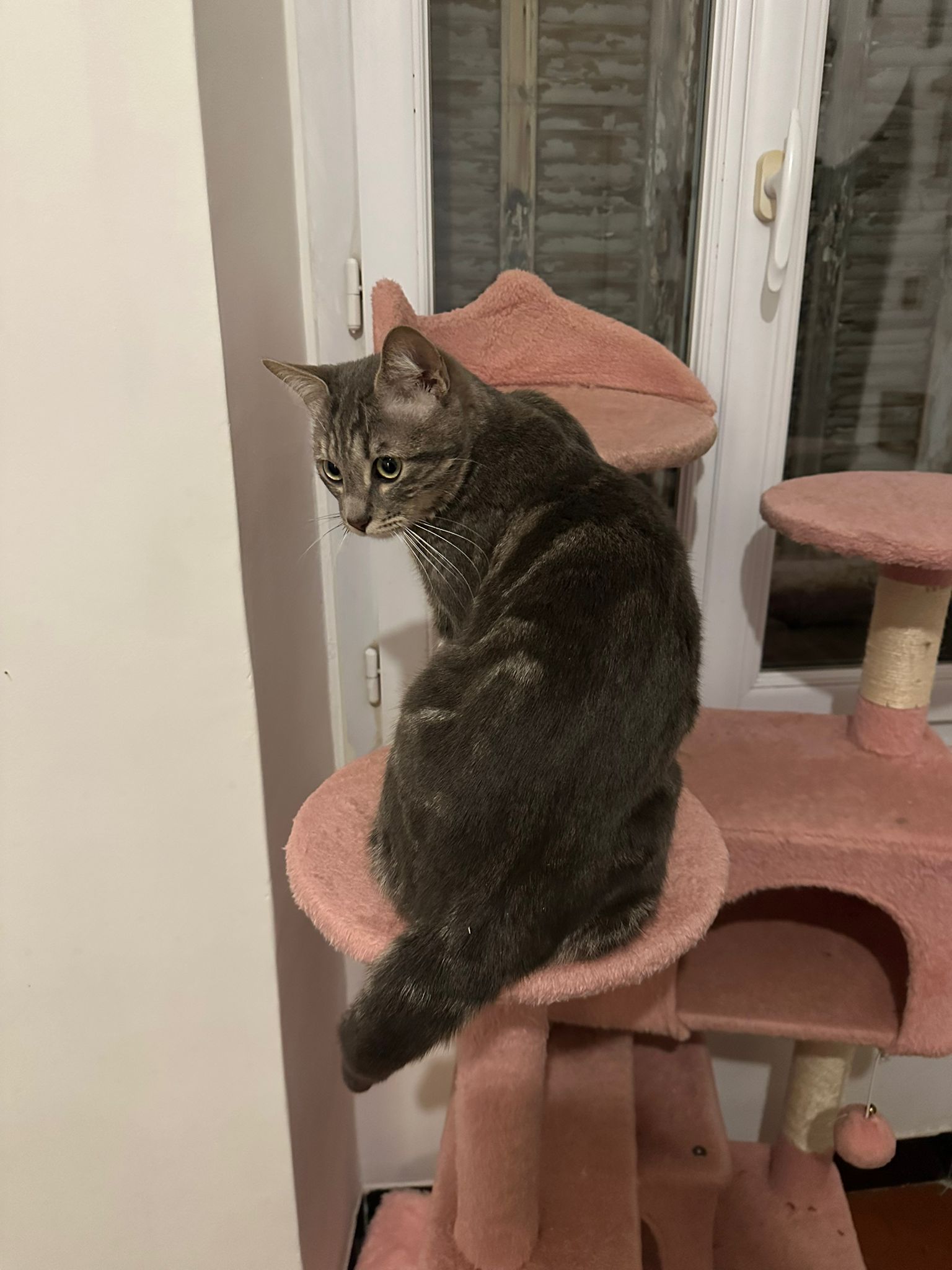 WhatsApp Image 2026-01-24 at 14.13.52 (1)