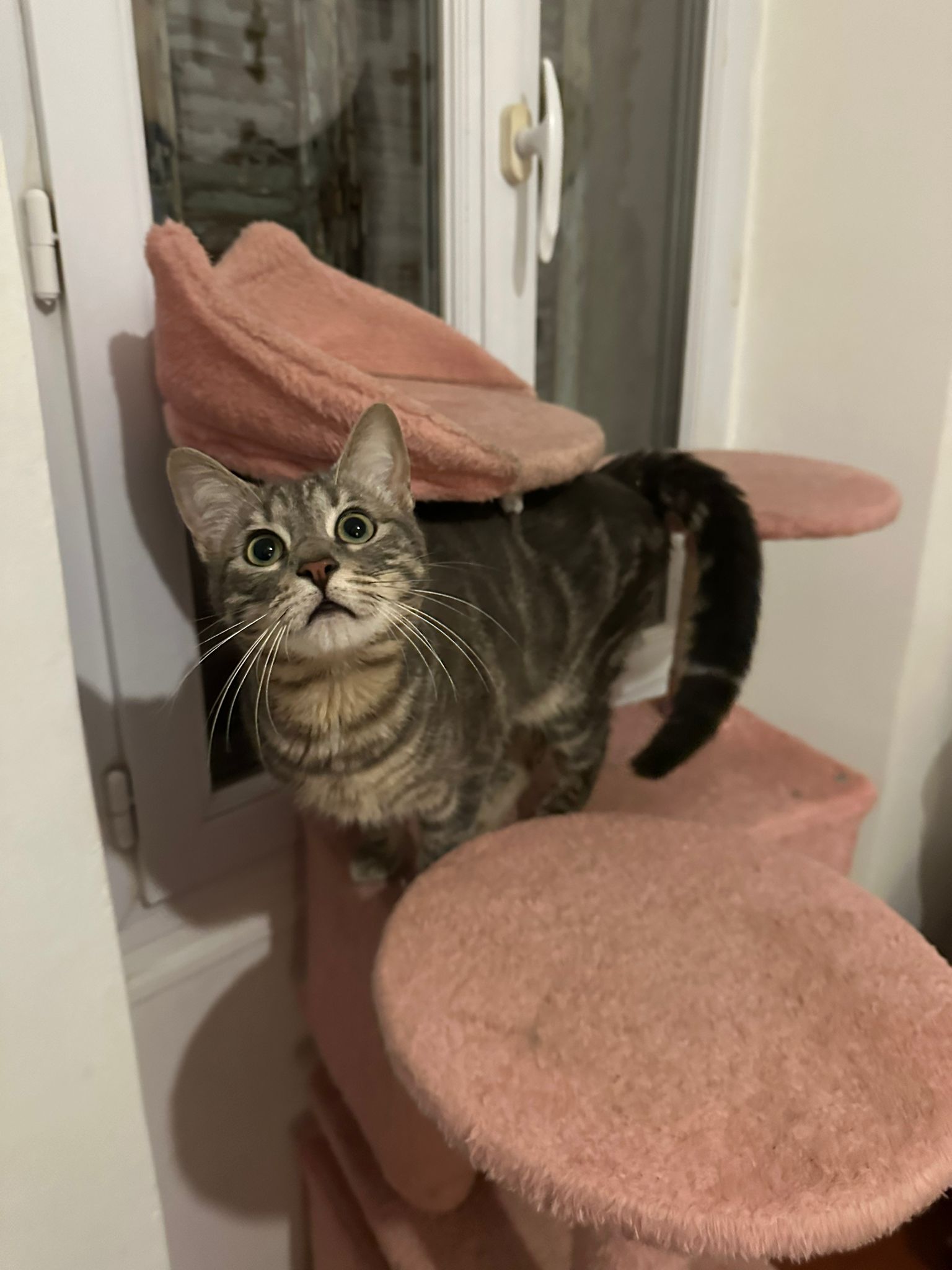 WhatsApp Image 2026-01-24 at 14.13.52 (2)