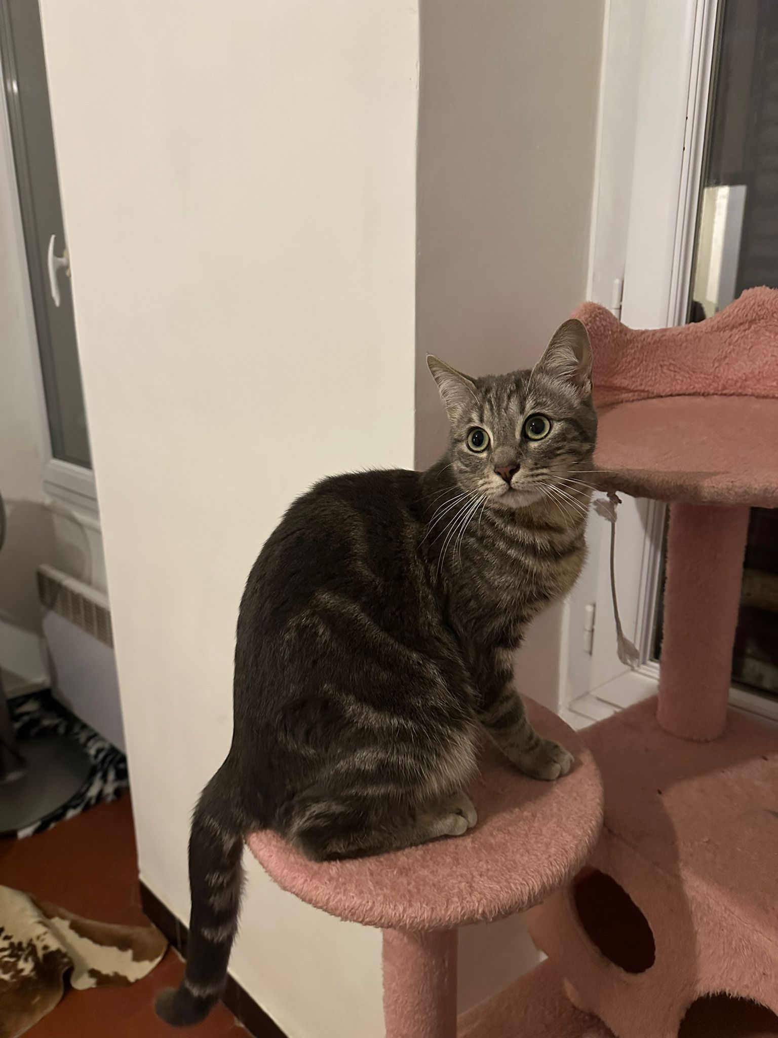 WhatsApp Image 2026-01-24 at 14.13.52