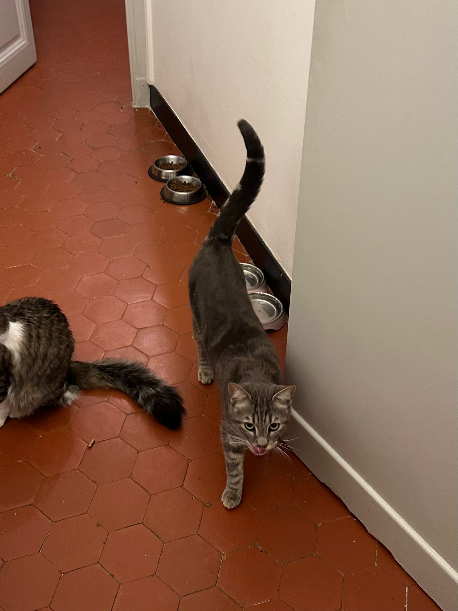 WhatsApp Image 2026-01-24 at 14.13.53