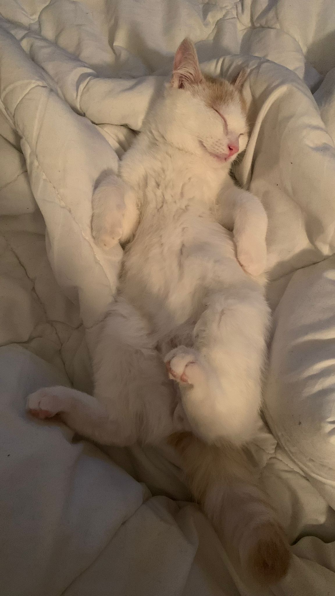 WhatsApp Image 2026-01-24 at 15.21.58 (1)