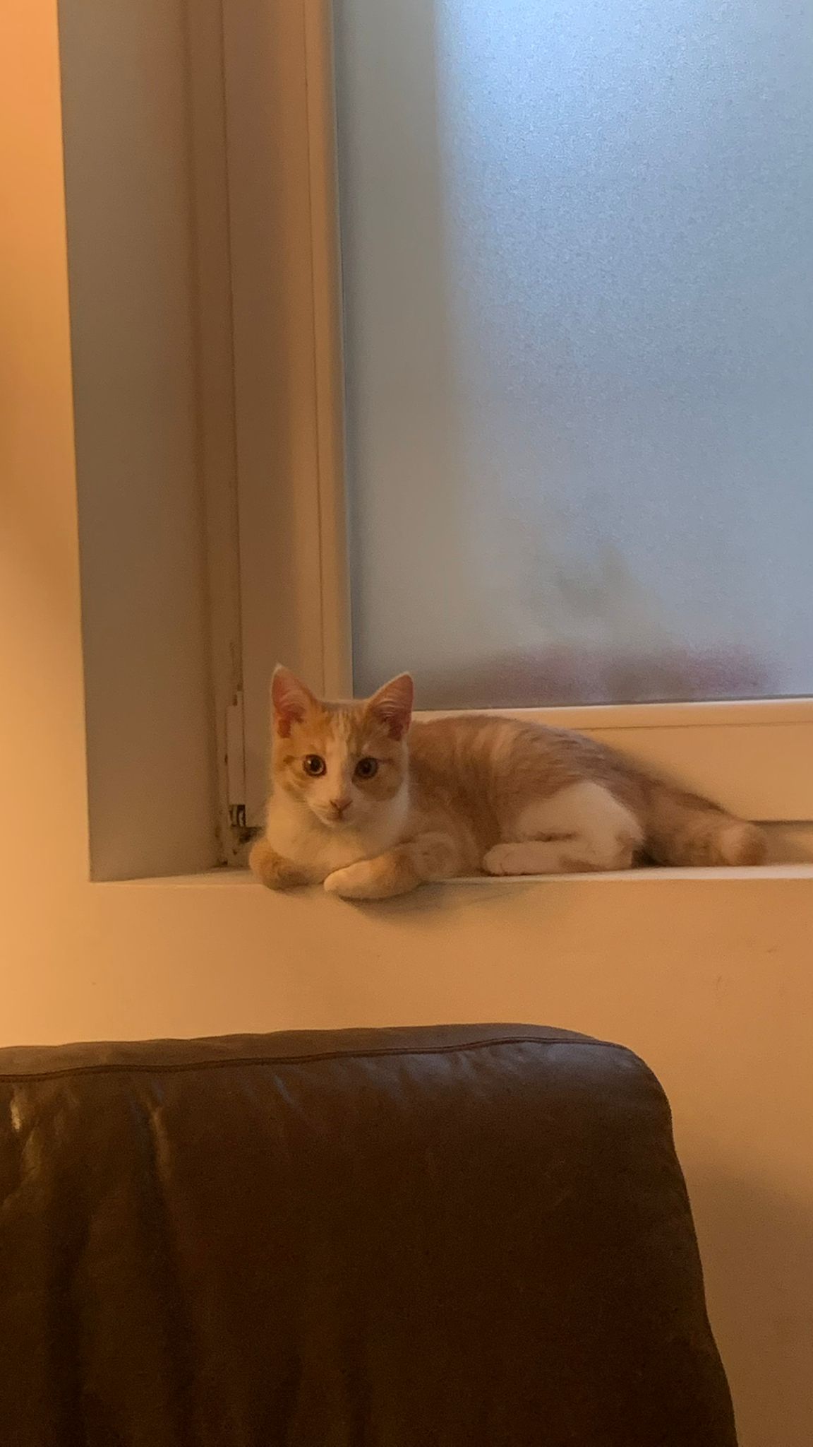 WhatsApp Image 2026-01-24 at 15.21.58 (4)