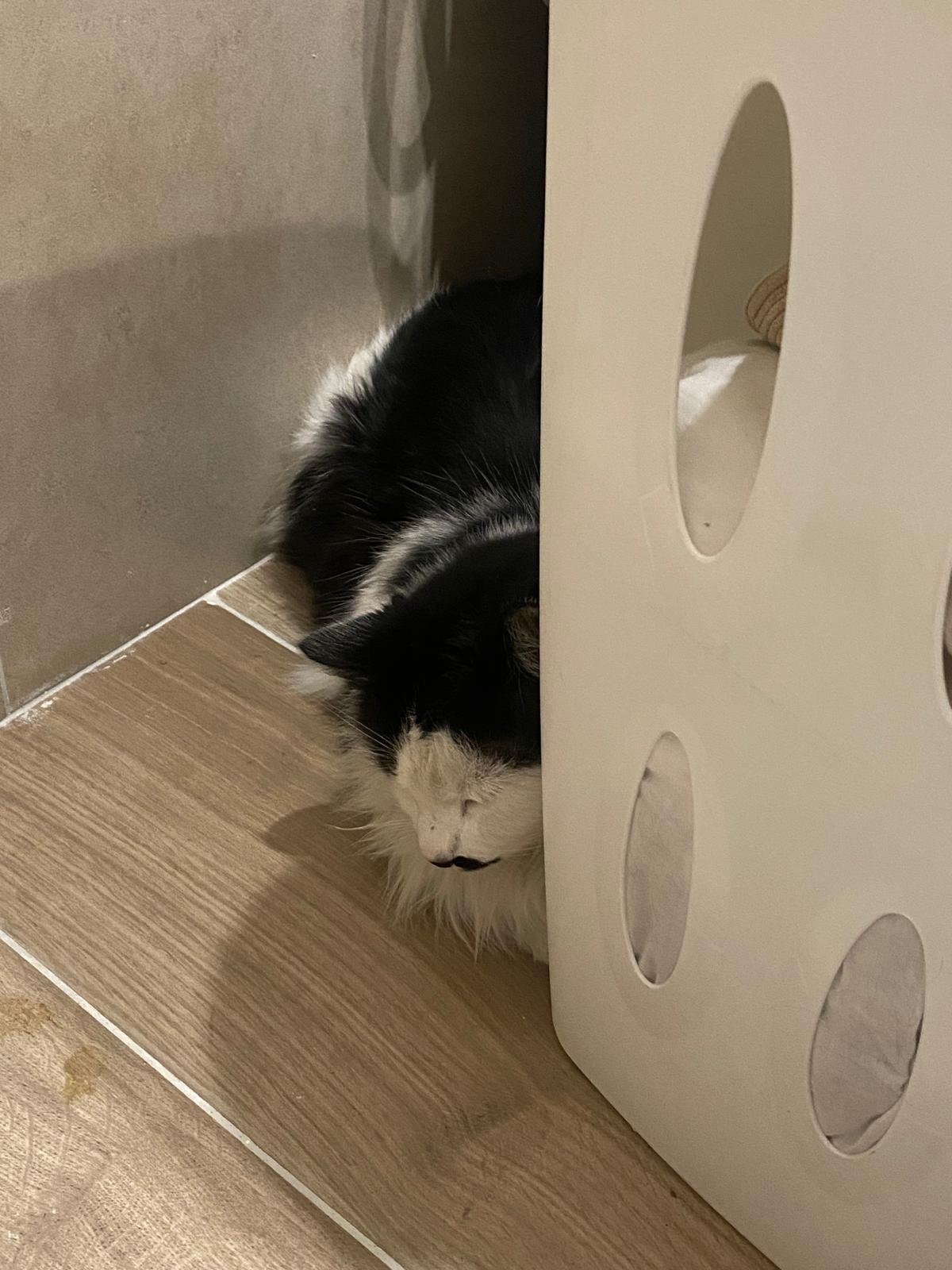 WhatsApp Image 2026-01-24 at 15.35.51