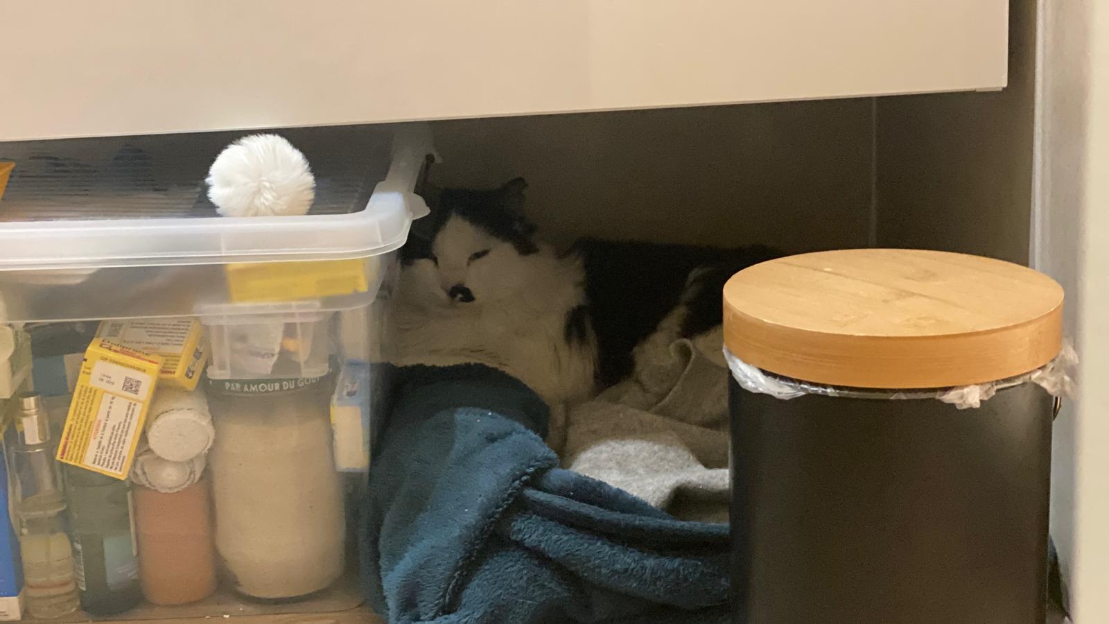 WhatsApp Image 2026-01-24 at 15.35.52 (1)