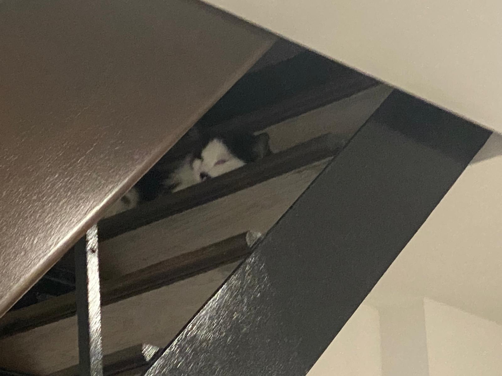 WhatsApp Image 2026-01-24 at 15.35.52 (2)