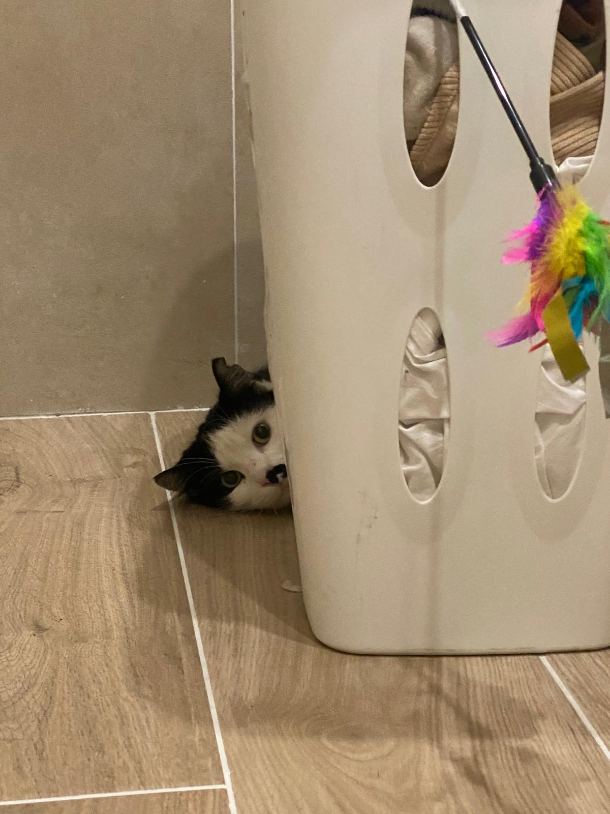 WhatsApp Image 2026-01-24 at 15.35.52