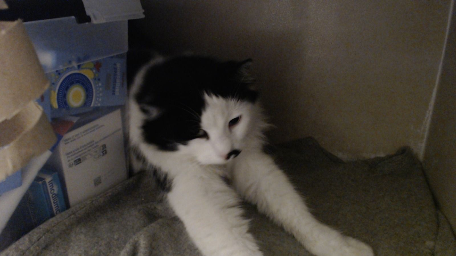 WhatsApp Image 2026-01-24 at 15.36.14