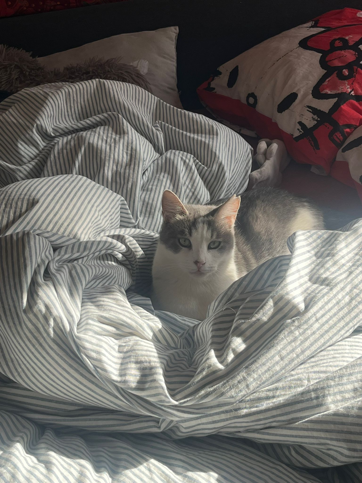 WhatsApp Image 2026-01-24 at 16.30.29