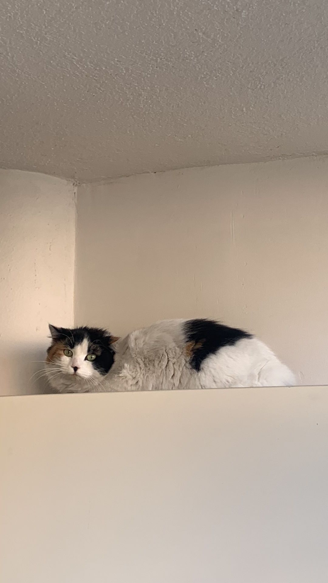 WhatsApp Image 2026-01-27 at 09.31.01