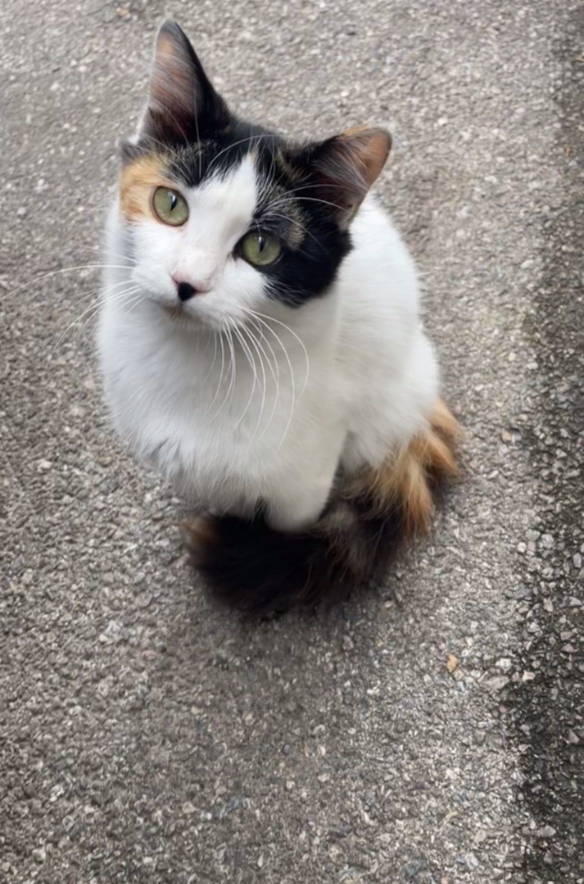 WhatsApp Image 2026-01-27 at 09.34.34