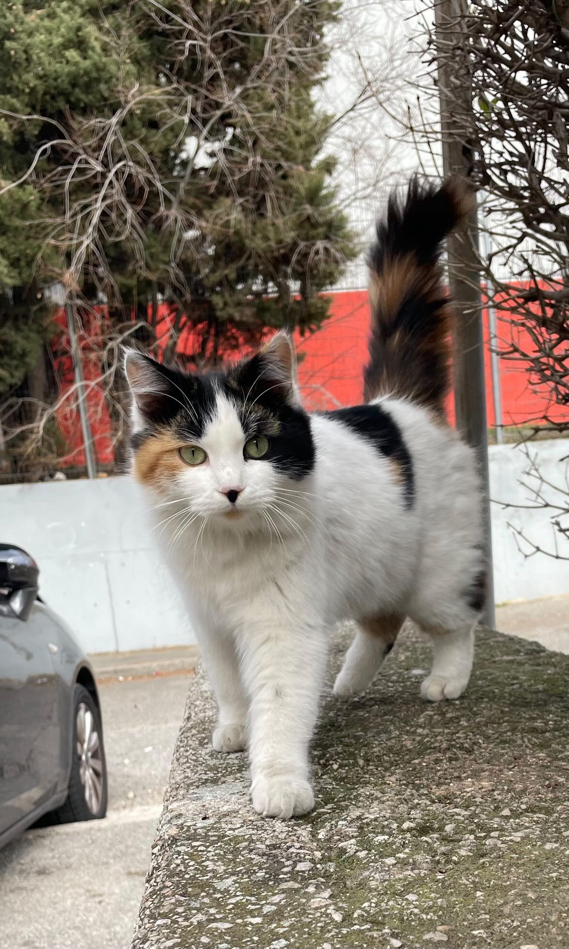 WhatsApp Image 2026-01-27 at 09.34.35