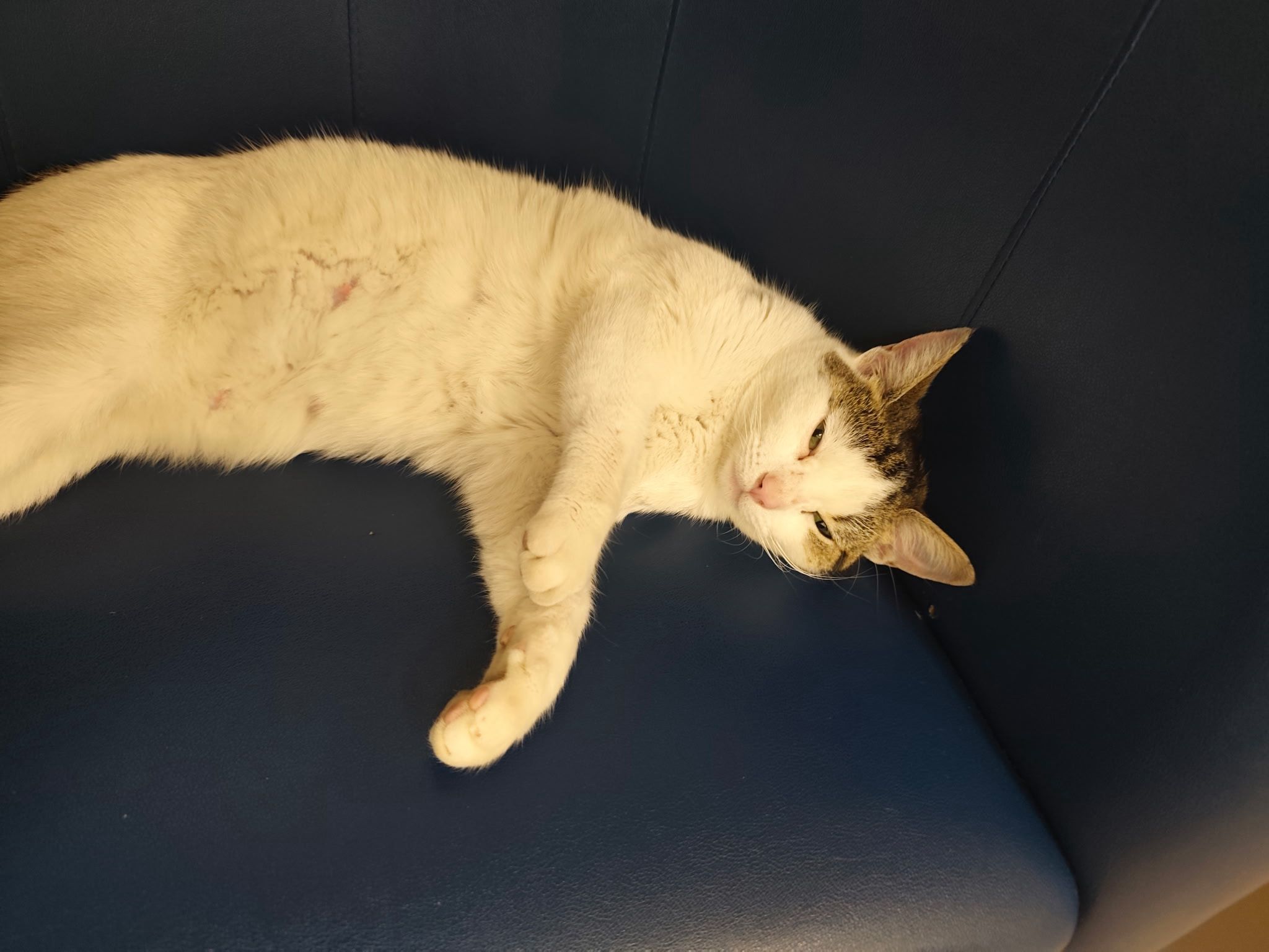 WhatsApp Image 2026-01-28 at 12.22.36 (1)