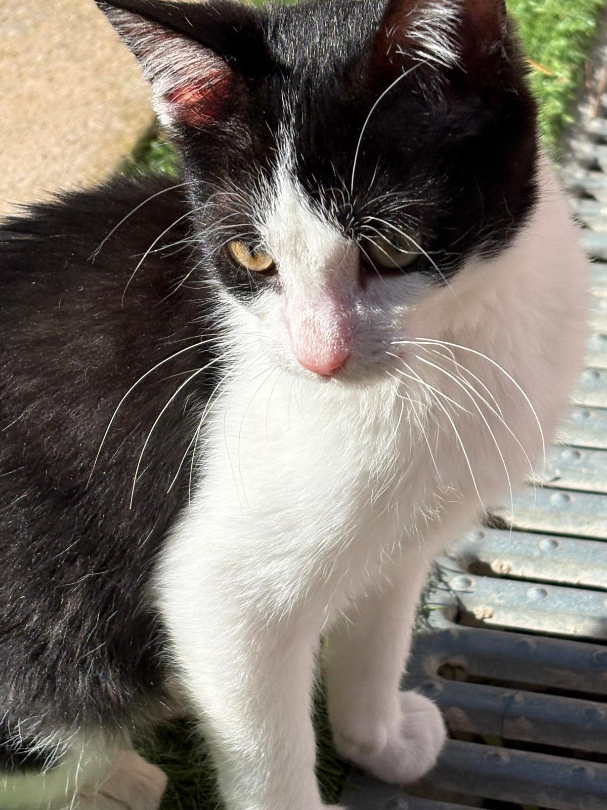 WhatsApp Image 2026-01-29 at 16.29.32 (1)