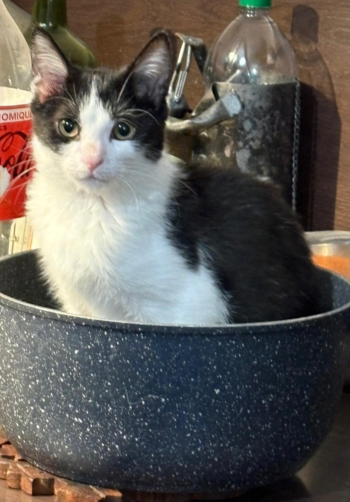 WhatsApp Image 2026-01-29 at 16.29.32