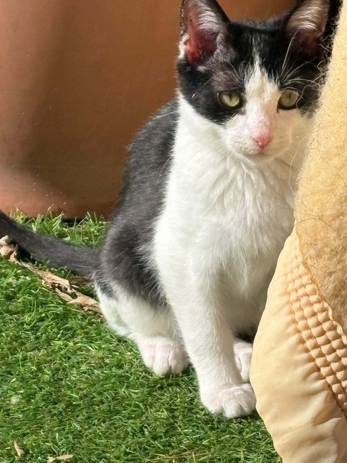 WhatsApp Image 2026-01-29 at 16.29.33 (2)