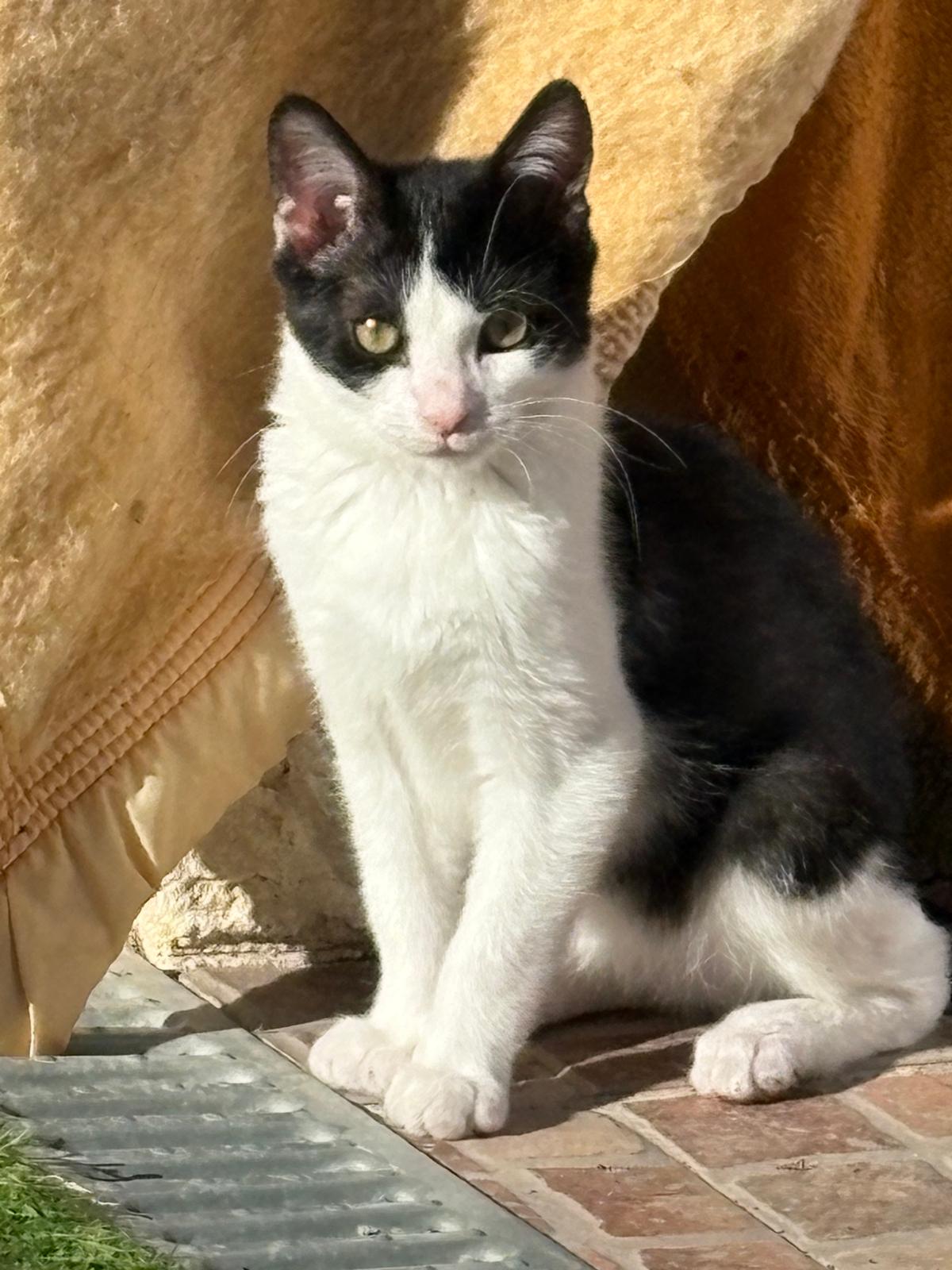 WhatsApp Image 2026-01-29 at 16.29.33