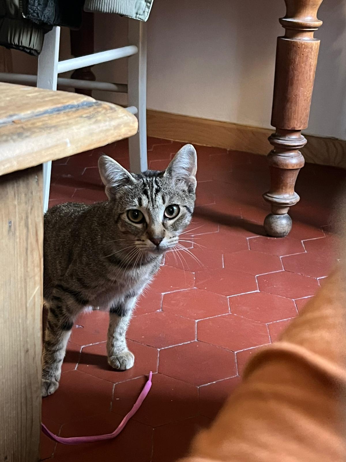 WhatsApp Image 2026-01-31 at 11.03.22 (2)