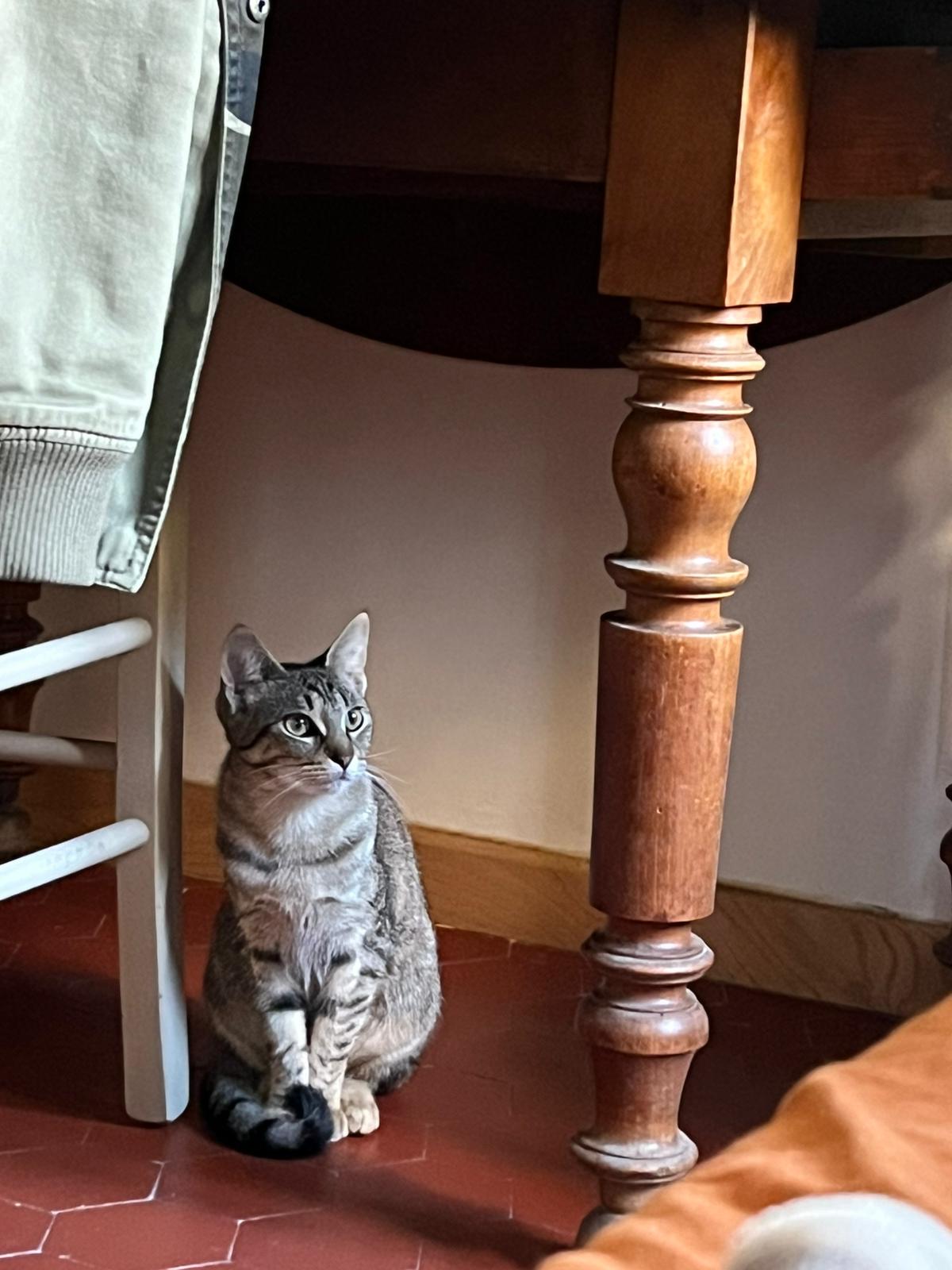 WhatsApp Image 2026-01-31 at 11.03.22 (3)