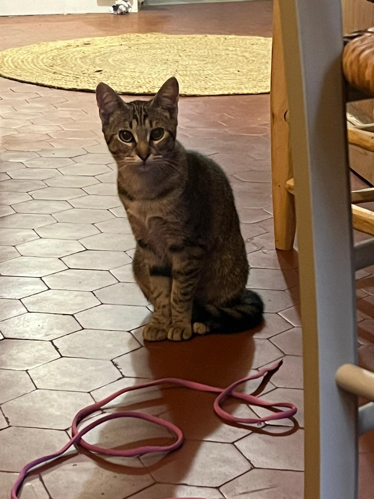 WhatsApp Image 2026-01-31 at 11.03.22